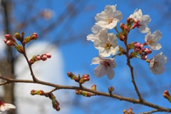 新生活、応援します！