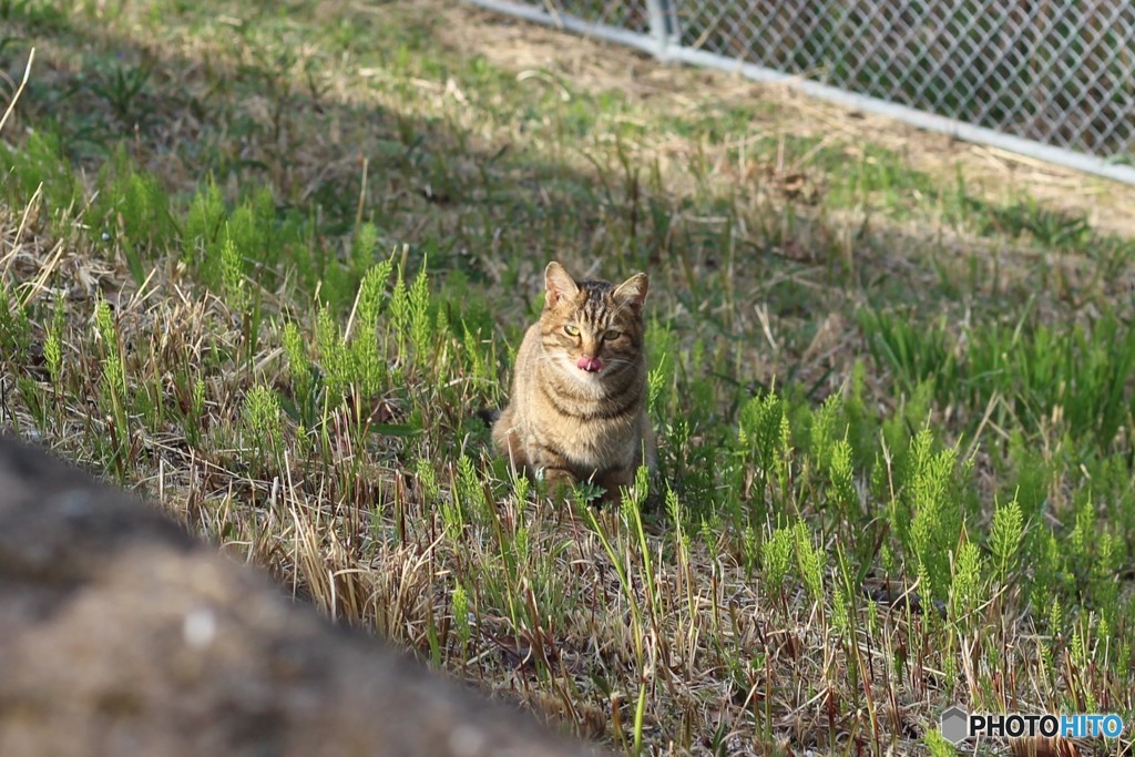 視線いただきました