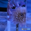 氷柱の花