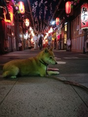赤ちょうちんに誘われて
