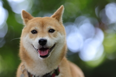 ホワイトバランス3
