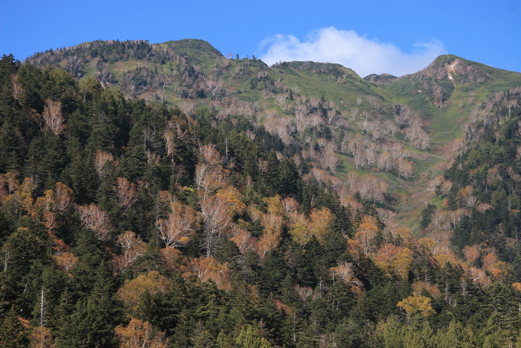 尾瀬～山～