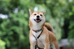 いつもの場所で3