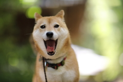 帰ろうよ～！