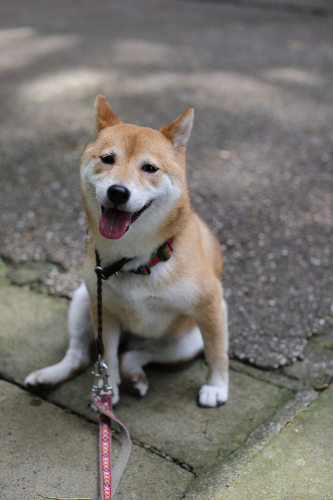 暑いよ～