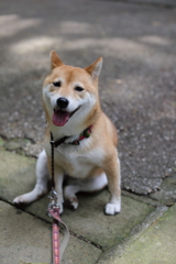 暑いよ～