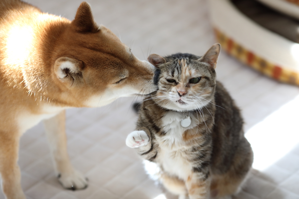 やめろよぉ～