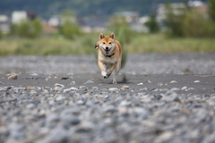 連射3