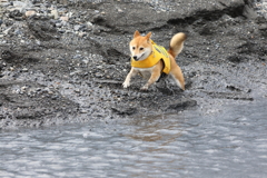 泥遊び1