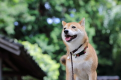 いつもの場所で2