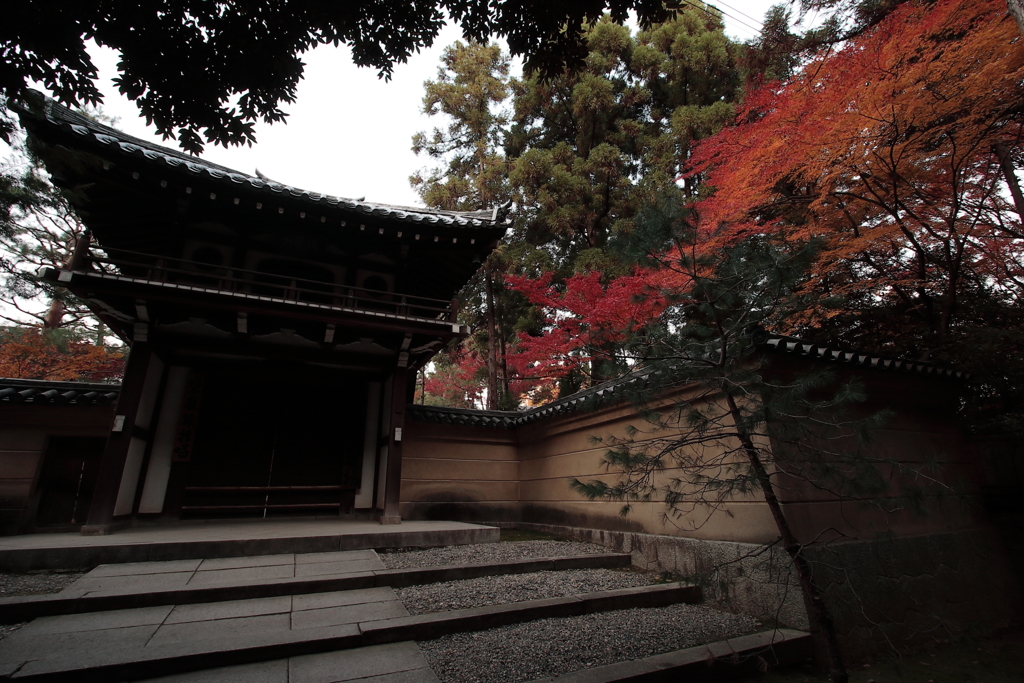 京都-奈良～紅葉のある門～