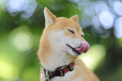 ホワイトバランス6