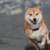 体が斜めってます