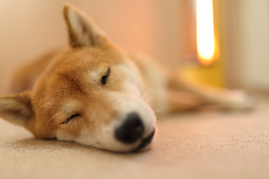 眠くなる…
