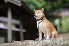 いつもの場所で