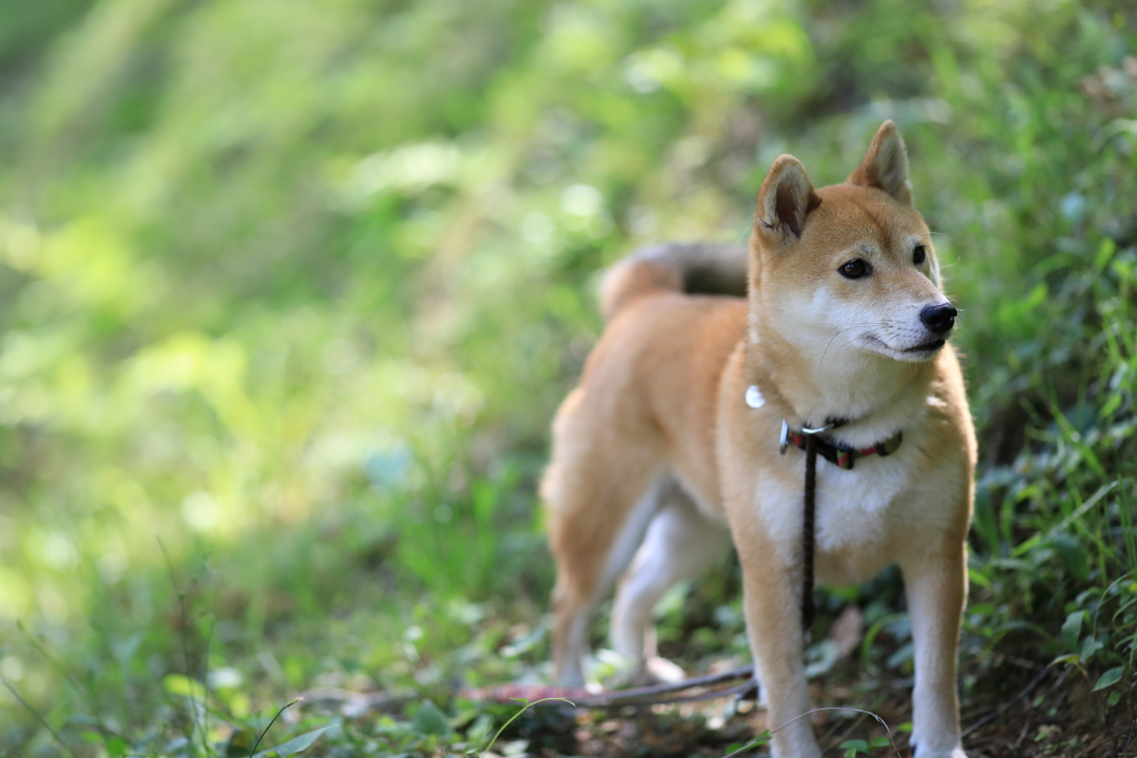 何か見つけたかな？