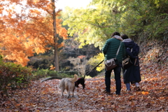 犬友さん