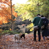 犬友さん