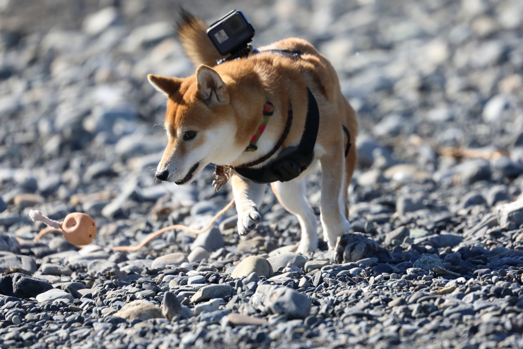 あっ！