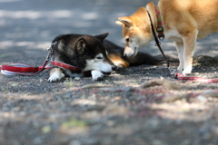 どうしたの？
