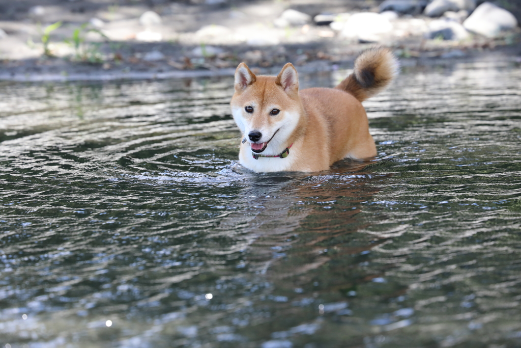 気持ちい～♪