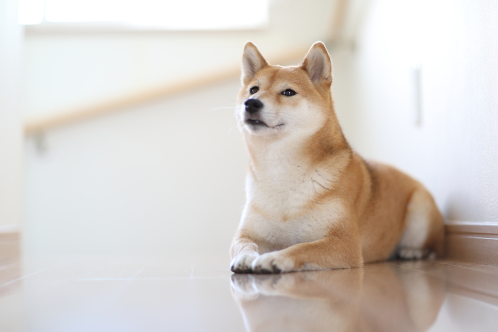 飽きてきた？