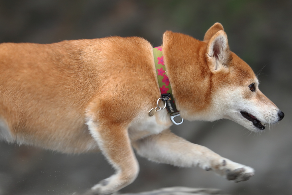 時間を止めて