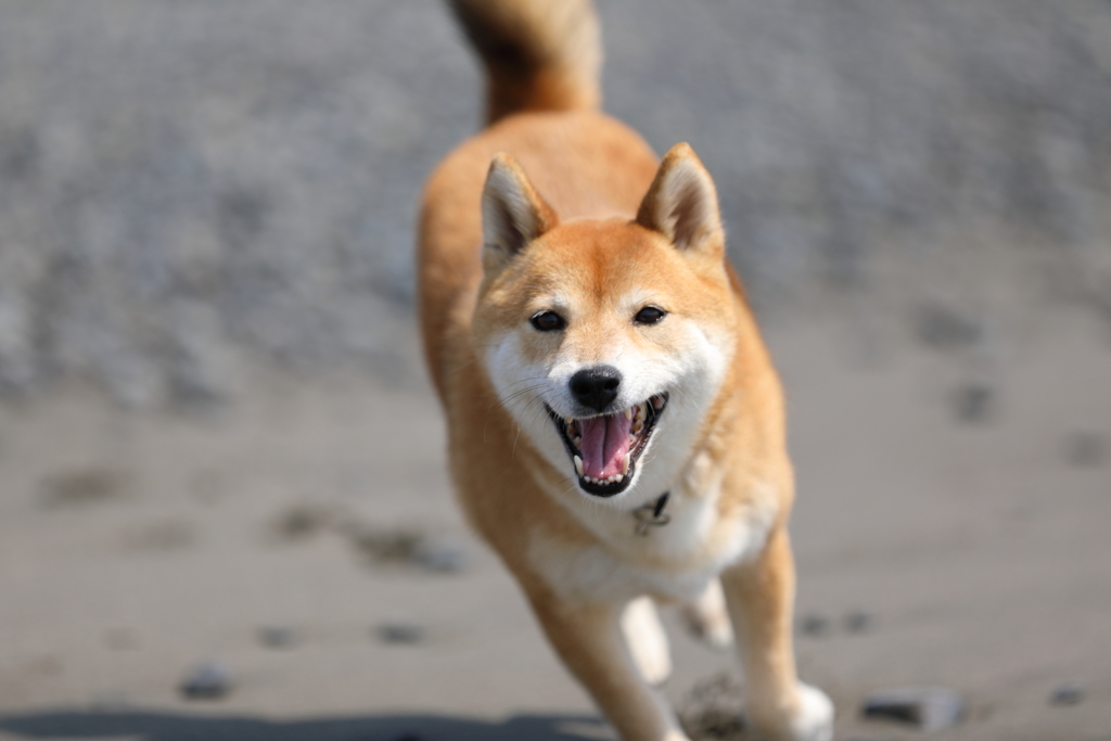 笑顔で走る