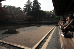 京都-奈良～石庭観覧～