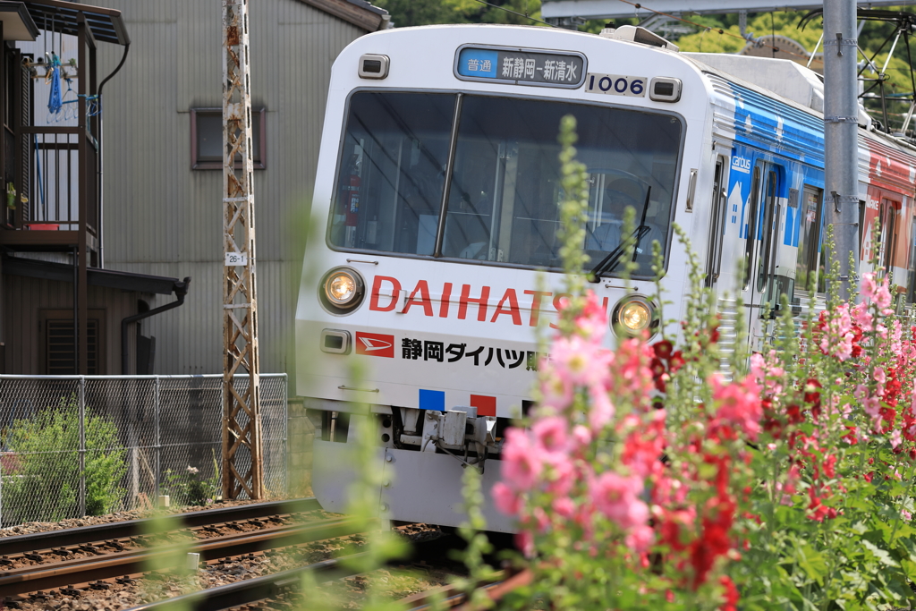 リベンジ電車とタチアオイ1
