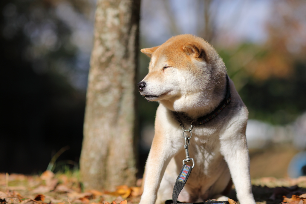 眠くなってきたかな…