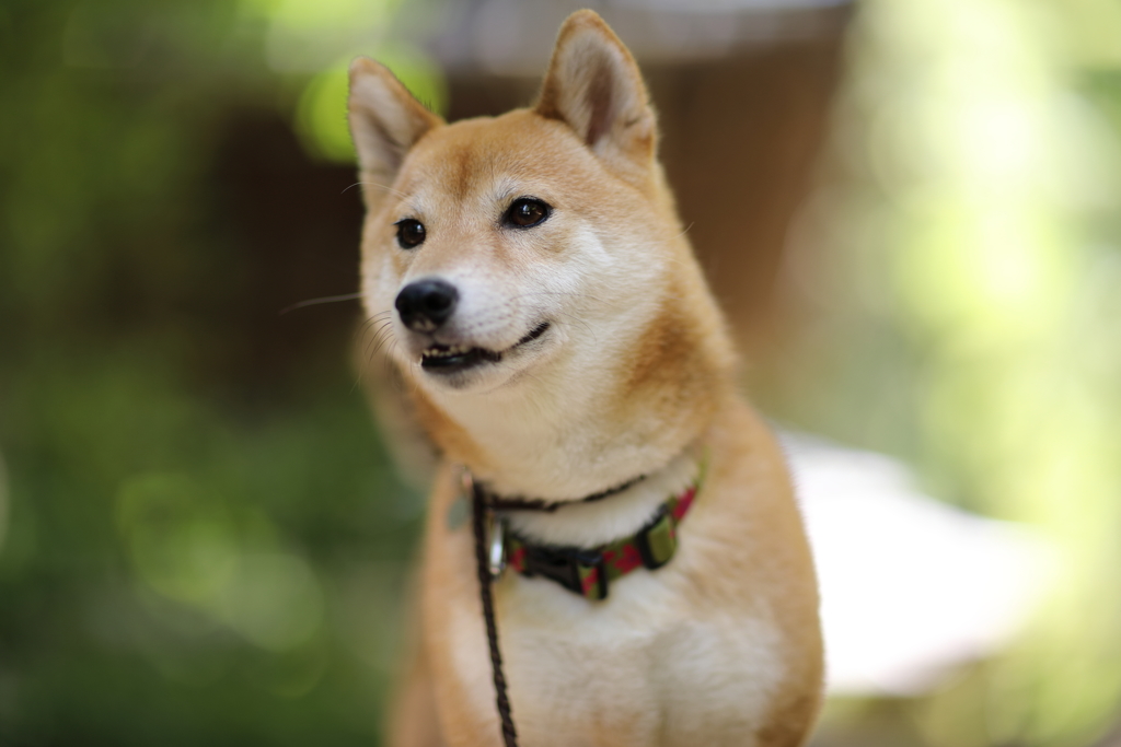 そろそろ…