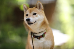 そろそろ…