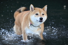 スッキリした！