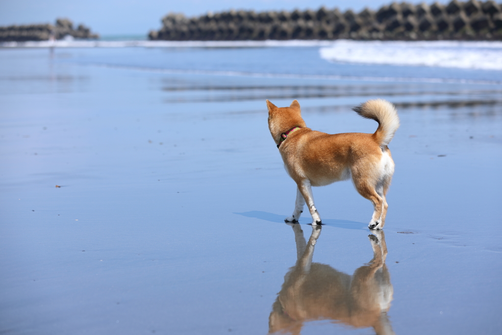 海辺で