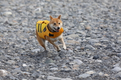 楽しい顔1