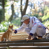 柴犬とおっちゃん