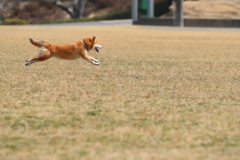 駆ける時間