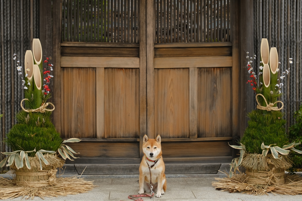 謹賀新年