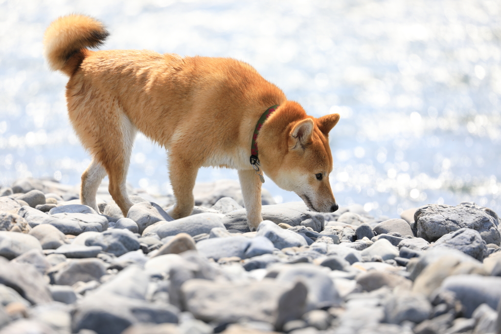 夏は終わらない3