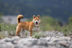 エヘ！