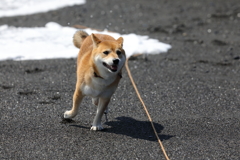 海岸で走る