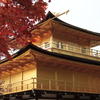 京都-奈良～金閣寺～
