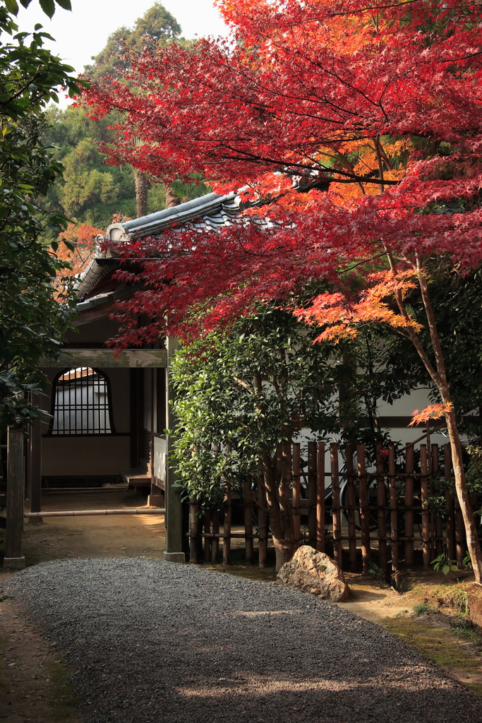 京都-奈良～紅葉の玄関～