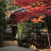 京都-奈良～紅葉の玄関～