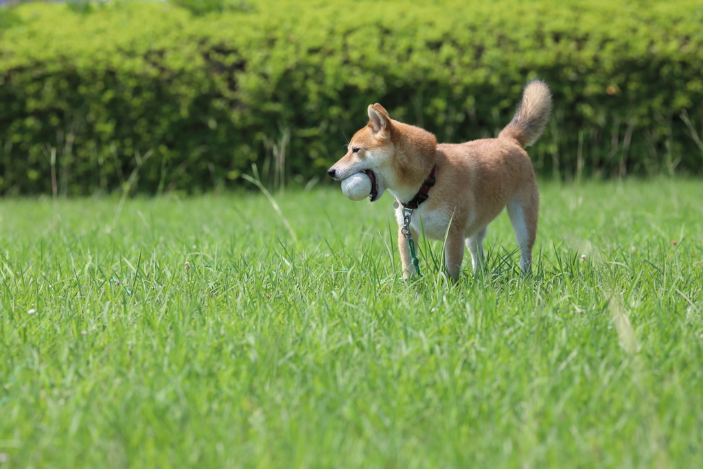 顎は大丈夫か？