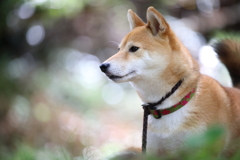 見つめる先