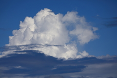 夏雲