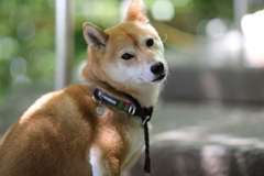 まだですかぁ～？