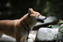 光の時間2